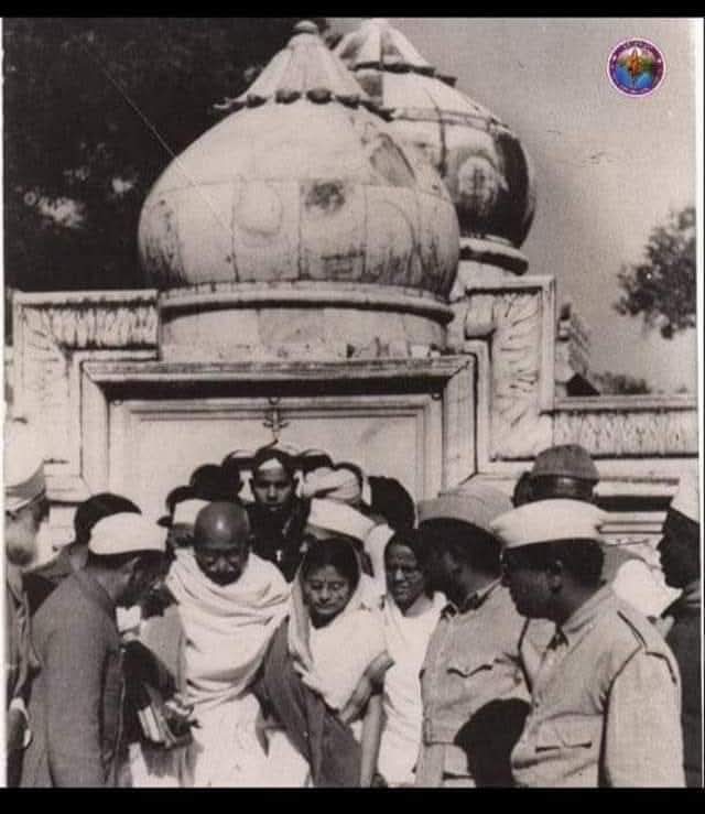 ocean jain tweet media