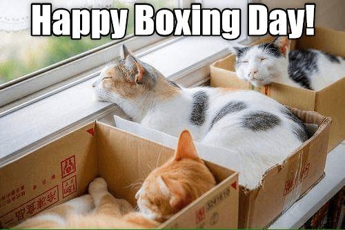 We don't know about you but we sure could use a day to rest! 
Enjoy this #BoxingDay ✨😴