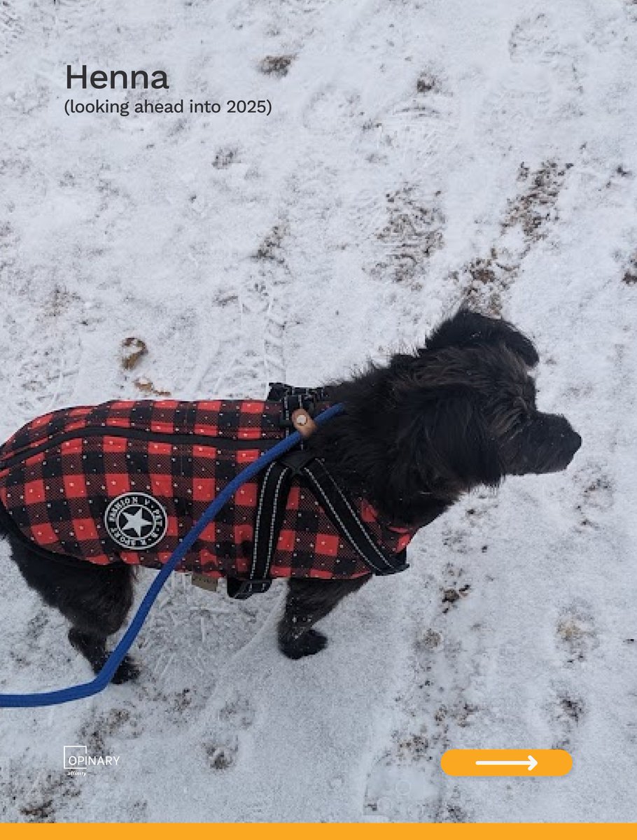 OpinaryDE tweet media