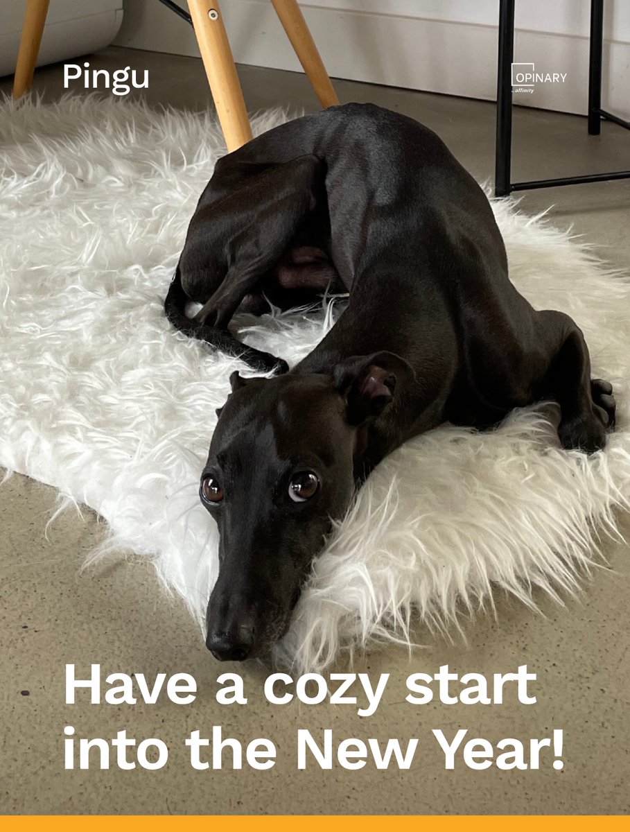 Serious business is over. 

At least for this year.

This is why we show you what’s really important in life: Our cute Opinary animals hoping you had a lovely Christmas and wishing you a great start of 2025!