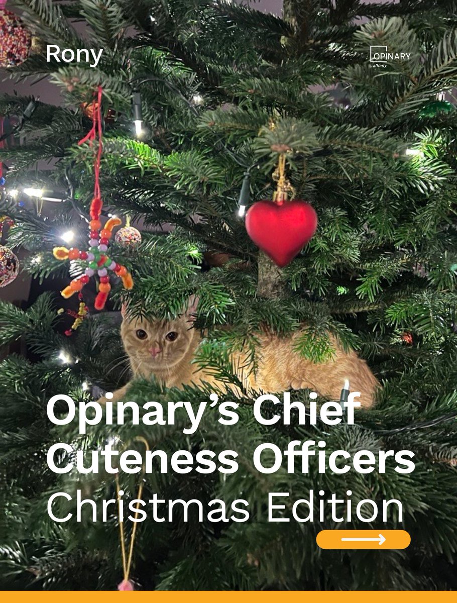 OpinaryDE tweet media