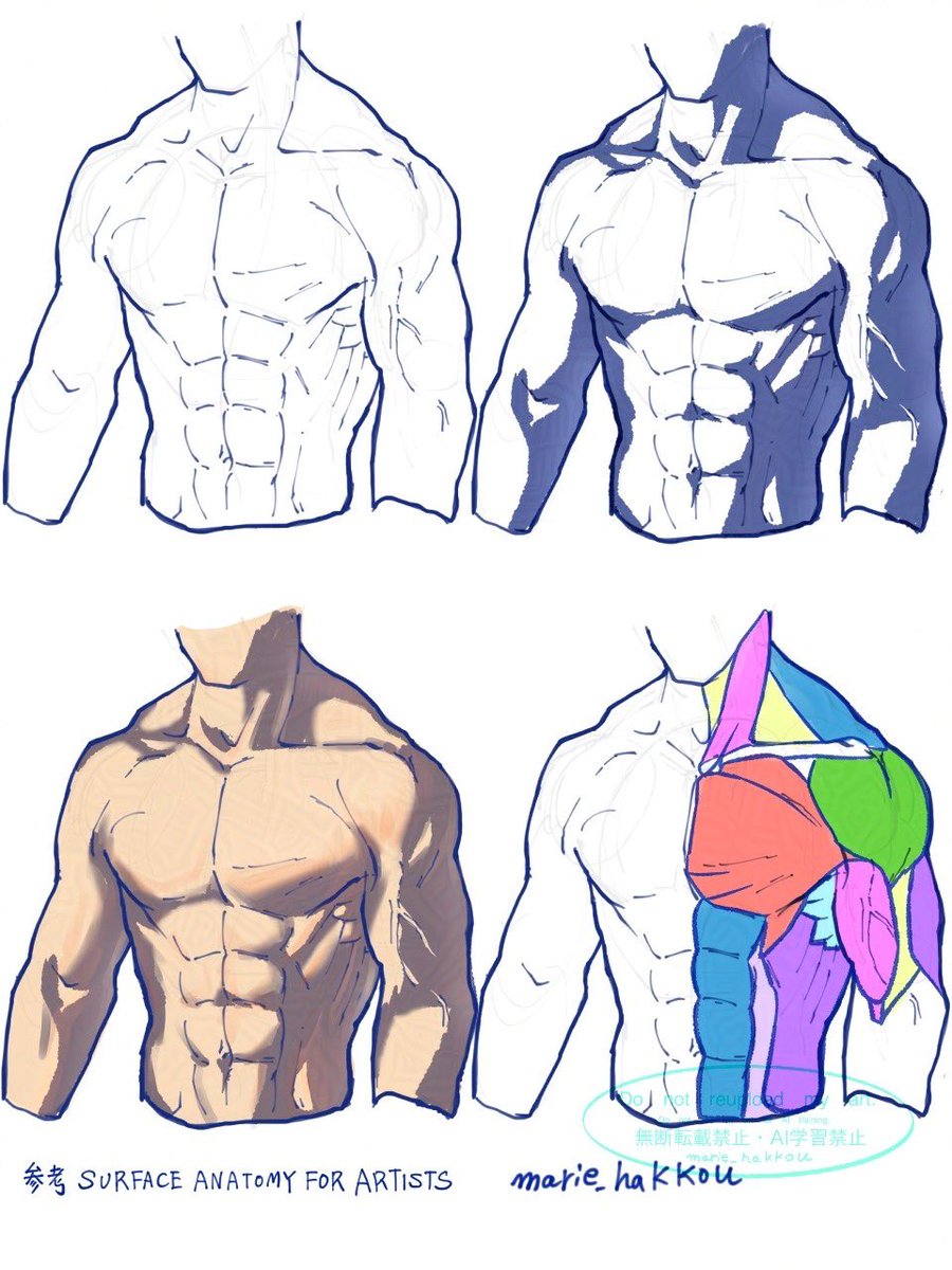 まりーむ@筋肉の絵描き tweet media