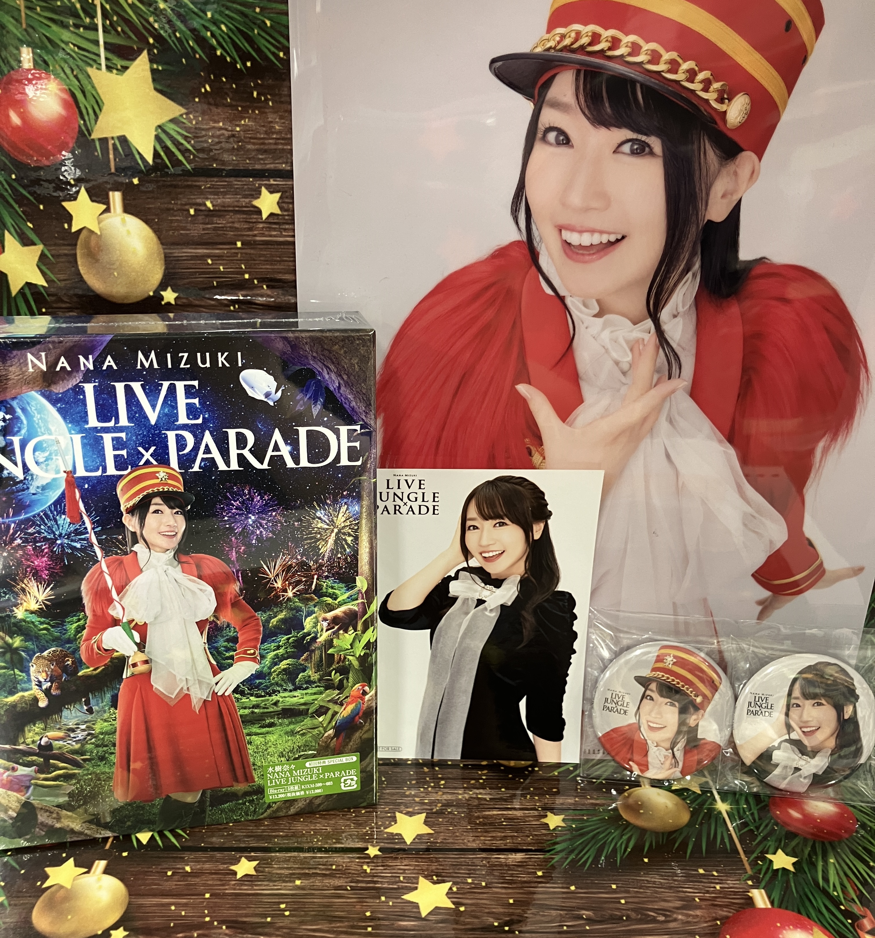 水樹奈々 20th birthday Live パンフレット