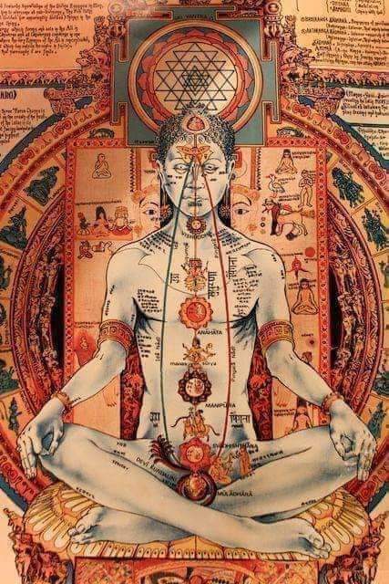 घर का वैद्य tweet media