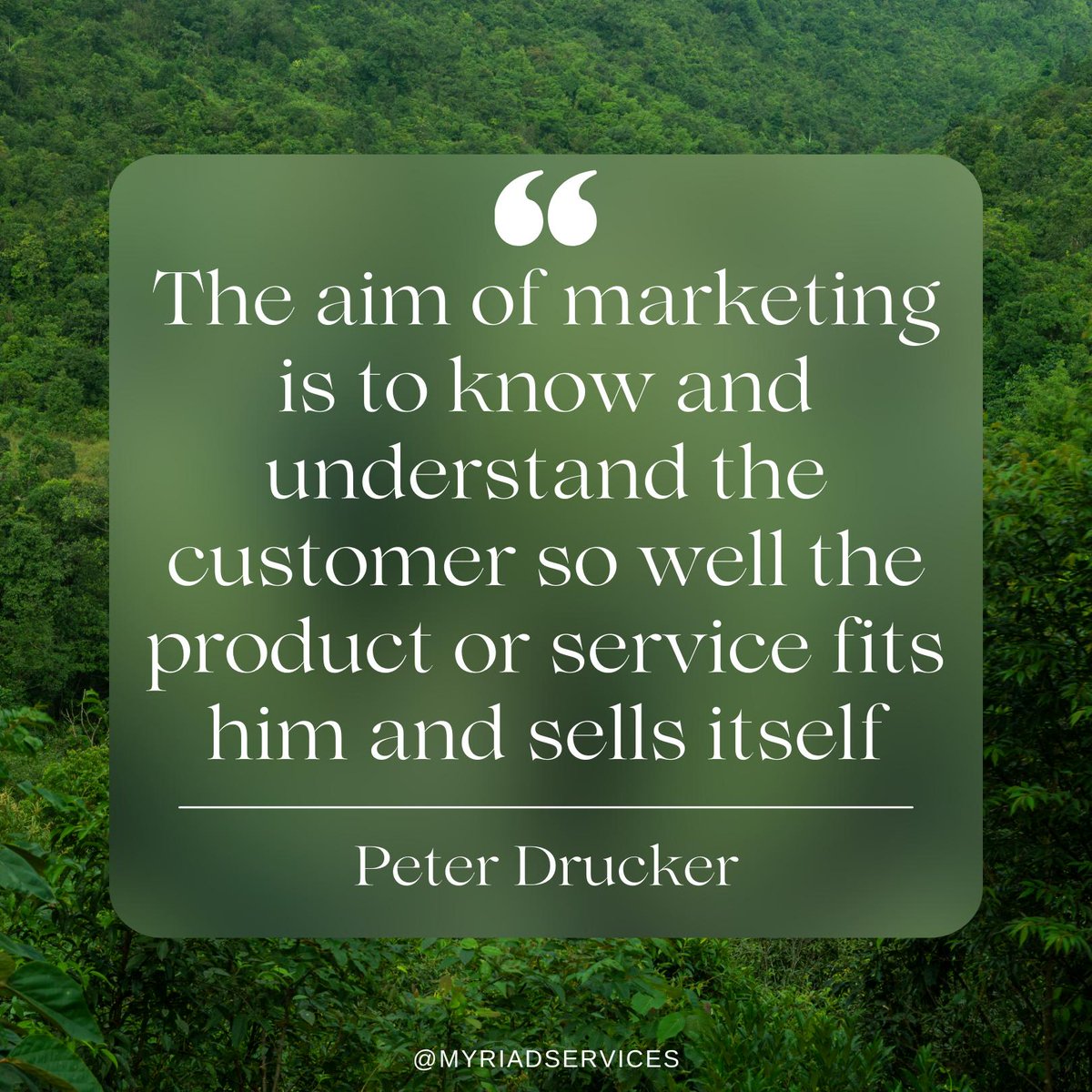 Hayley Andrews Smith tweet media