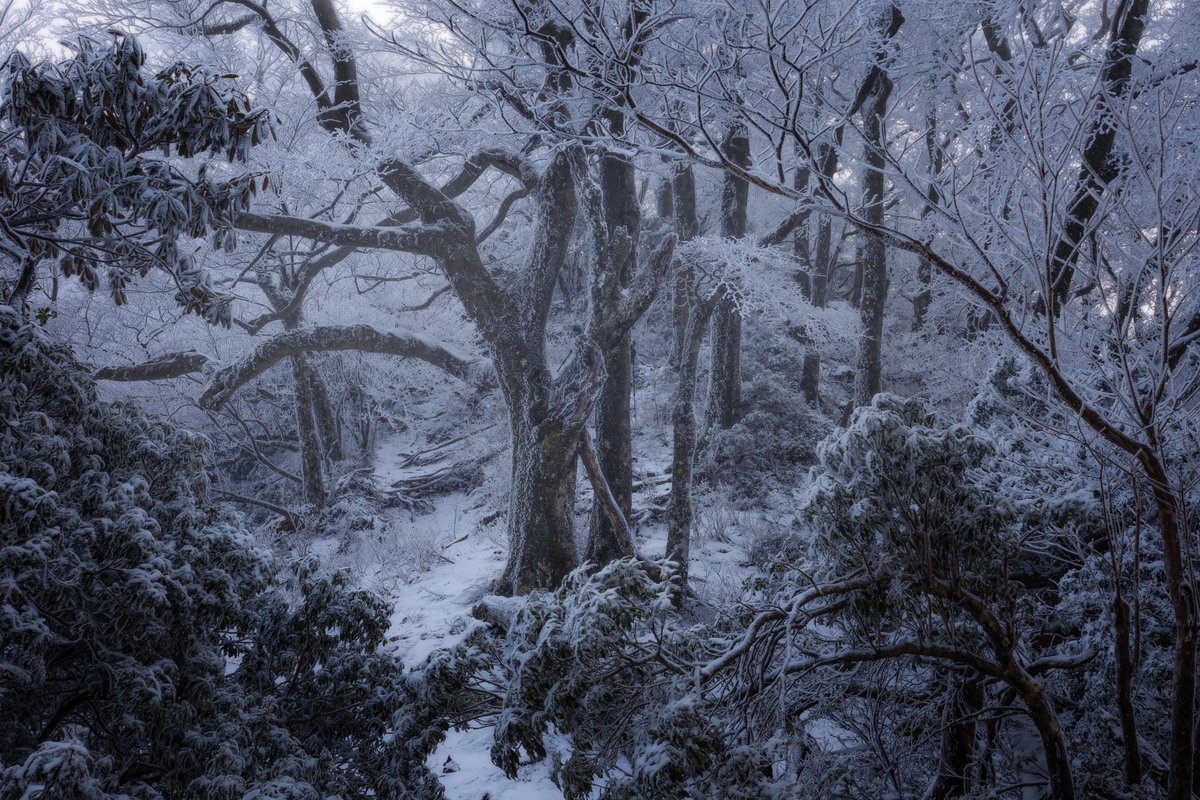 yuya_photo29's tweet image. #2024年自分が選ぶ今年の4枚

今年はワークショップやったりフォトコンちゃんと出したり学びが多かった1年だったかな
あまり強いのは撮れてない印象🤔