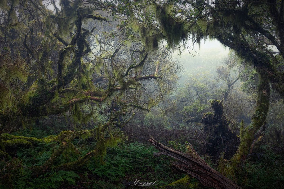 yuya_photo29's tweet image. #2024年自分が選ぶ今年の4枚

今年はワークショップやったりフォトコンちゃんと出したり学びが多かった1年だったかな
あまり強いのは撮れてない印象🤔