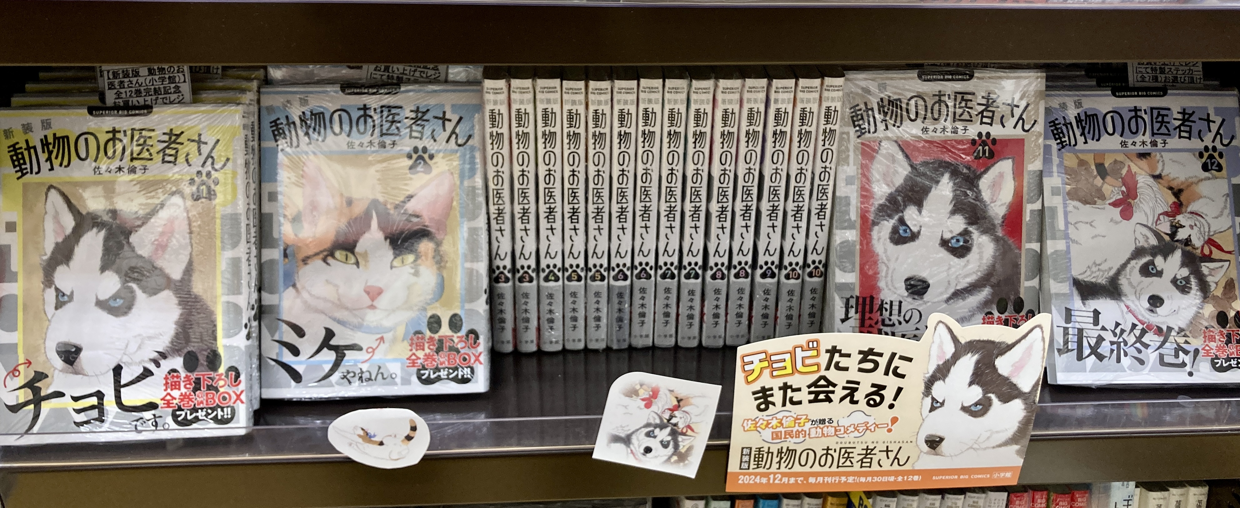 丸善京都本店 on X: 