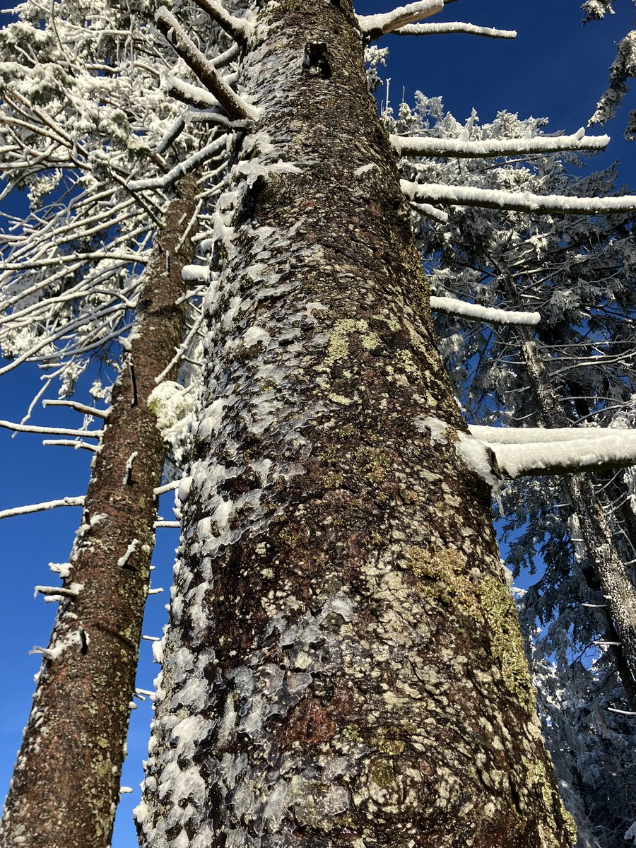 Georg Buchholz tweet media