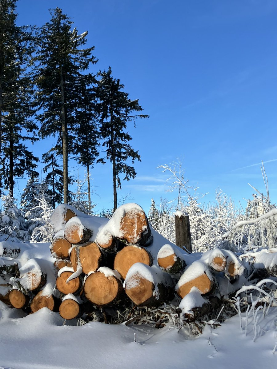 Georg Buchholz tweet media