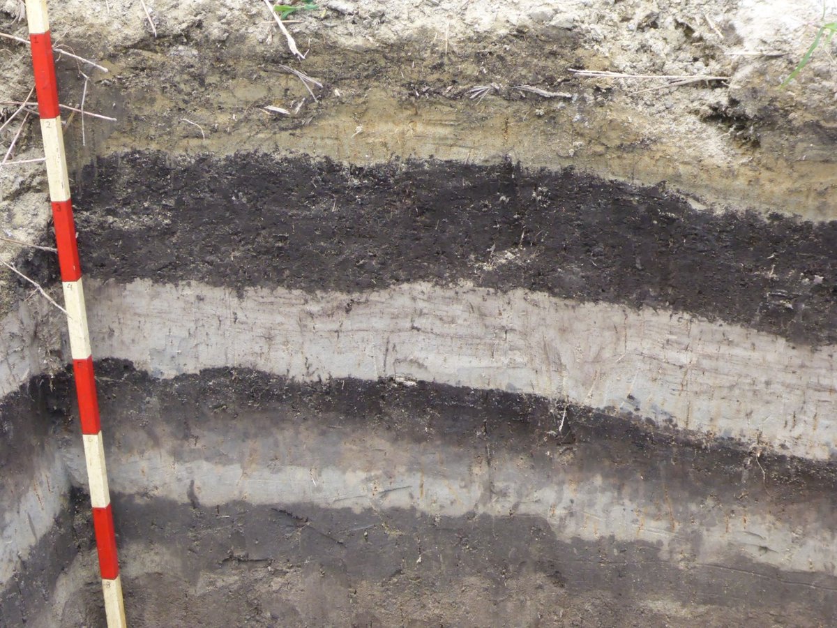 Today, 20 years ago, the 2004 Indian Ocean #Tsunami happened. Let´s remember those who lost their lives in this #disaster, but also remind us how important #hazard related #research is in order to be better prepared for the next #event! #IOT #IOT2004 #IndianOceanTsunami2004