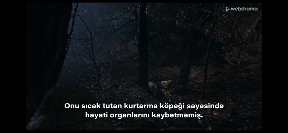 eyvahlarrolsun's tweet photo. o kadar çok duygusal bir sahneydi ki😭😭😭adamın üşümesinin sebebi yağmurmuş ve köpek havlaması ise onu kurtaran köpeğe aitmiş yardım gelene kadar havlamış 😭hiç böyle bir hikaye beklemiyordum adamın hayatını kurtardıktan sonra ölmesini aşamayacağım bir süre #LightShopEp7 https://t.co/BTtbGNNihX