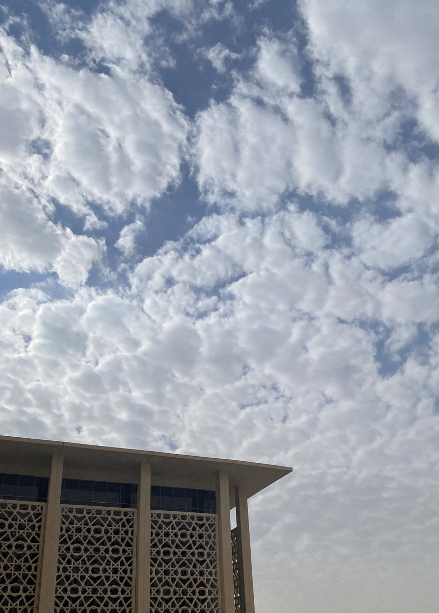 Maryam 👾 tweet media