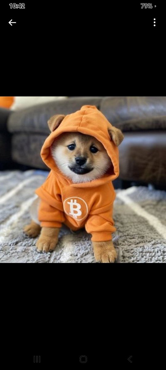 #dog pole position💯💣🗼🗼🚀🚀🚀🚀🚀