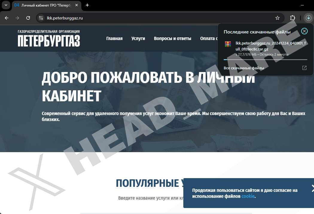 Head Mare tweet media