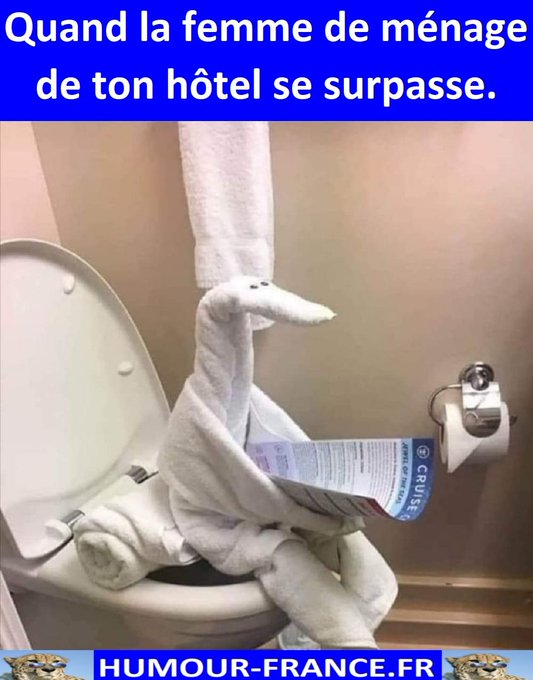 text alternatif