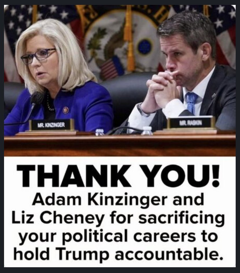 We sometimes forget the courage it took for these two to never cave to Trump and his cult. So few Republicans in Congress have had the patriotism and decency to put what was right and just in front of the politically expedient path, which was to grovel at Mango Mussolini's feet.