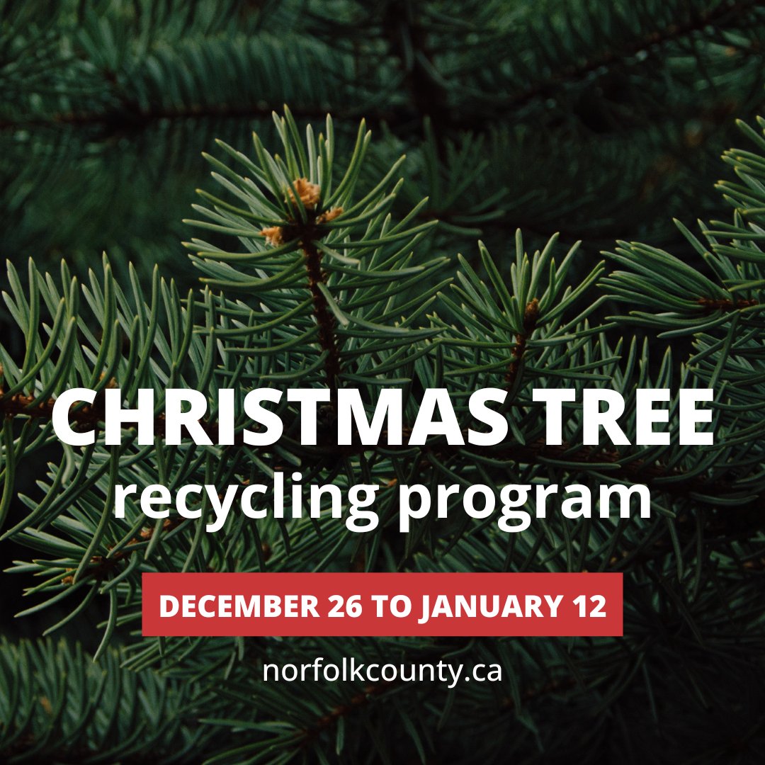 🎄Recycle your real Christmas tree! Drop it off at one of 10 depots between Dec. 26 and Jan. 12. Make sure it’s free of decorations and not in a plastic bag. Curbside collection is not available.
📍 Depot locations &amp; details: NorfolkCounty.ca/ChristmasTreeR… #NorfolkCountyOntario