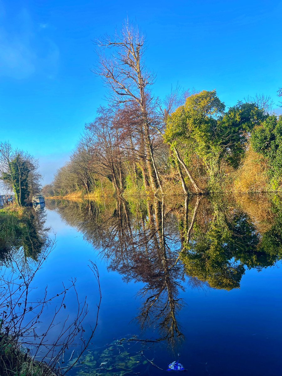 lindabrennan223's tweet photo. Sun came out for the Stephen’s Day walk #stephensday #100daysofwalking #300daysofwalking #royalcanal https://t.co/wApdKVz5o5