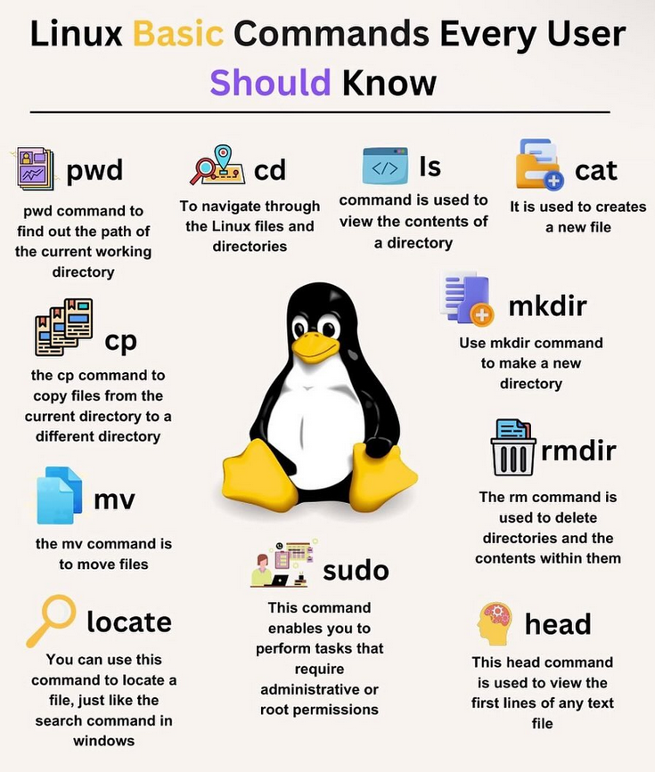 Python_Dv's tweet image. Linux Commands 
#linux #unix #python #programming #developer #programmer #coding #coder #softwaredeveloper #computerscience #webdev #webdeveloper #webdevelopment #pythonprogramming #pythonquiz #ai #ml #machinelearning #datascience