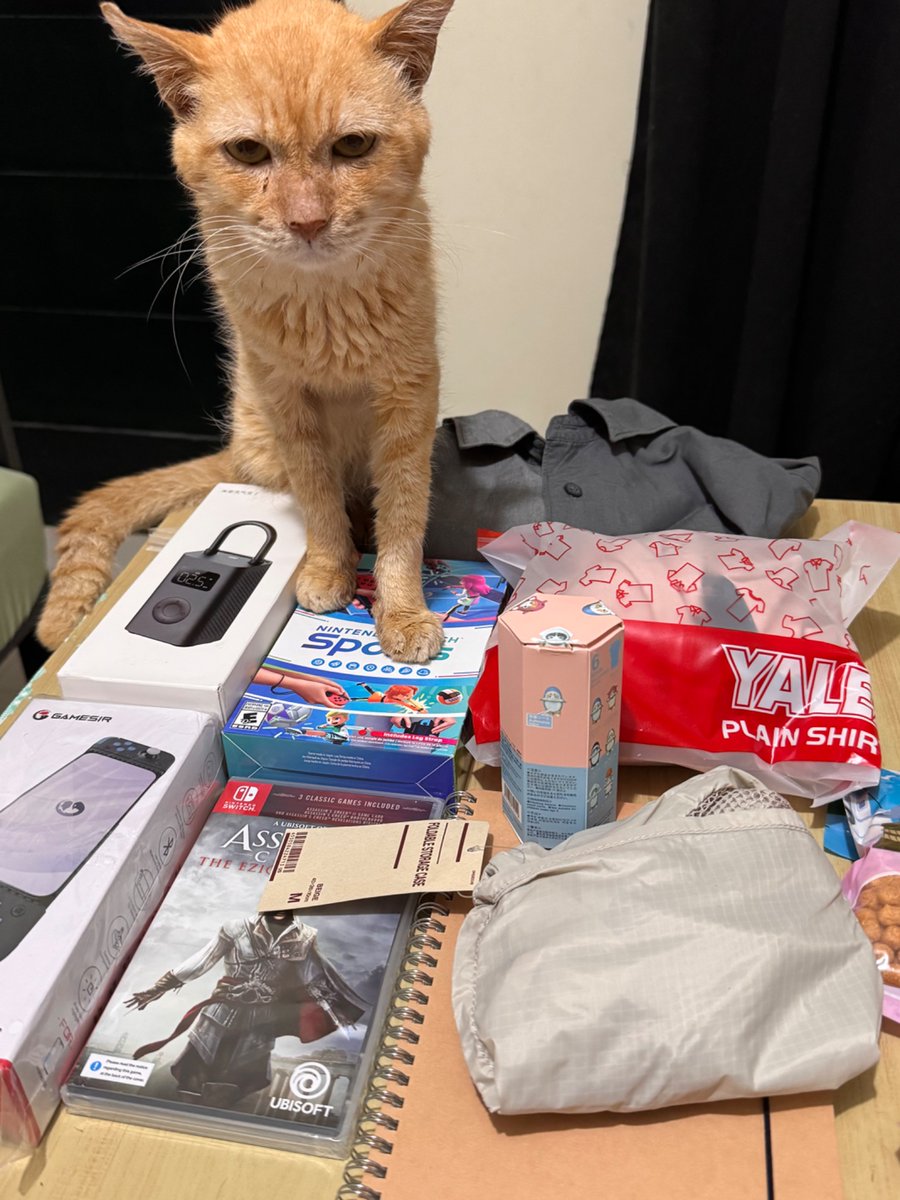 MarceLex11's tweet photo. Gift haul!! Di pa kasama yung board game and super massive hotdog pillow and more! 
As a kid, I didn’t have much to open pero ngayon huhu andami ko na na-oopen na gifts!! 
Pero itong pusa, mag iisang taon na yan samin, hindi yan kasama sa gift. 

GIIIFTS!!!!! 🎁 https://t.co/uaT5pjdggy