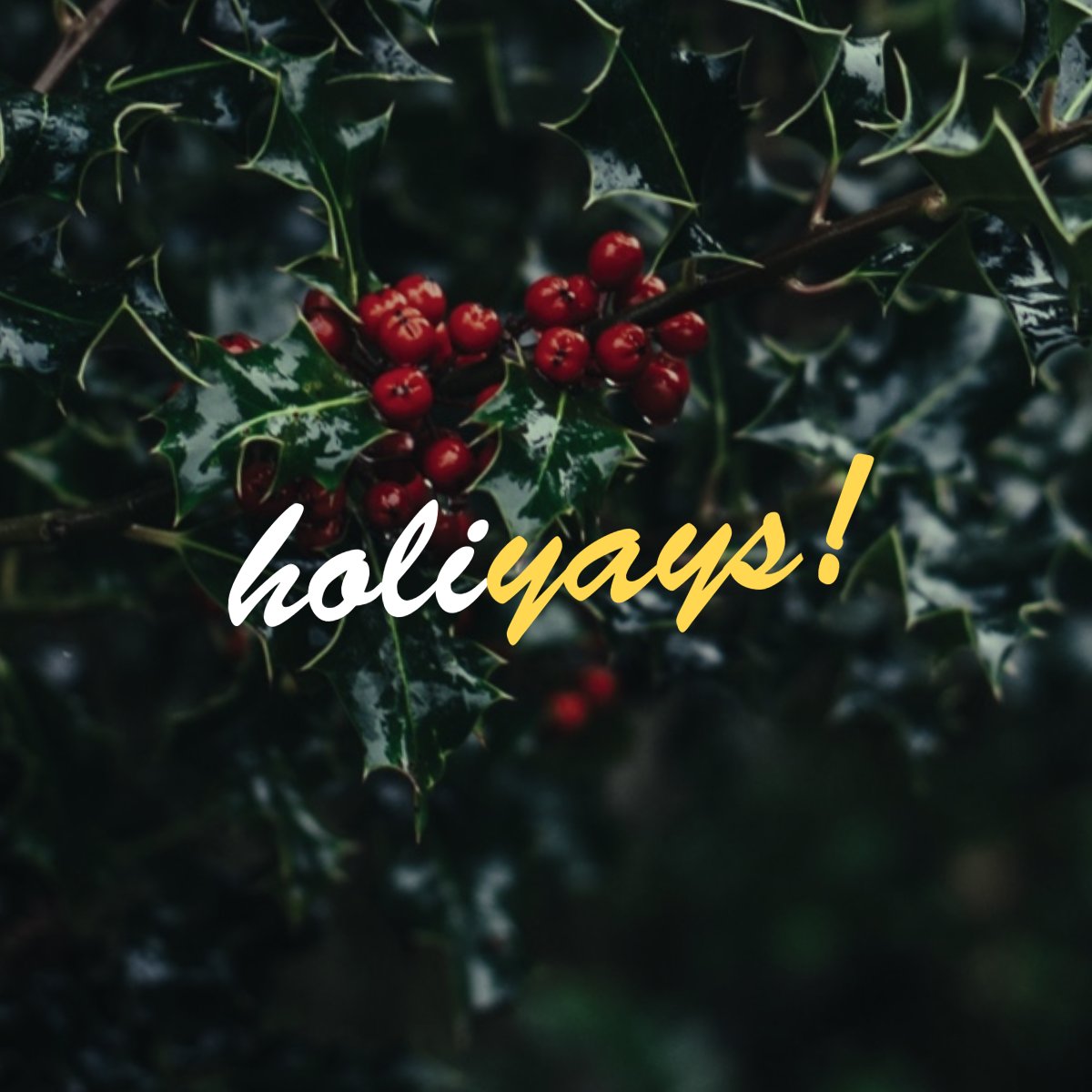 FF&P (@ffnp) on Twitter photo LAST CALL! If you have a book, short story, or even a poem that ties into the December/January holiday season, we'd love to feature you on our social media!
Email blog@ffprwa.com for more details.
Interviews are due by December 31 for publication on January 1. #Romancelandia LAST CALL! If you have a book, short story, or even a poem that ties into the December/January holiday season, we'd love to feature you on our social media!
Email blog@ffprwa.com for more details.
Interviews are due by December 31 for publication on January 1. #Romancelandia
