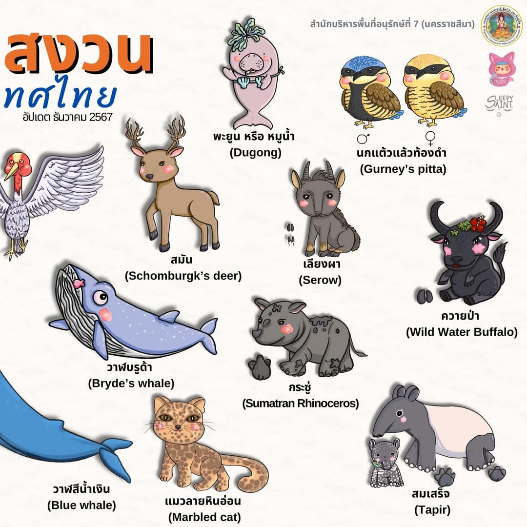 So cute มากกกก... แจกผลงานสุดน่ารัก เอาใจน้องๆ หนูๆ 🥰 21 สัตว์ป่าสงวนของไทย ส่งท้ายวันคุ้มครองสัตว์สัตว์ป่าแห่งชาติ สำนักบริหารพื้นที่อนุรักษ์ที่ 7 (นครราชสีมา) ร่วมกับศิลปิน Sleepy Mint  ผลิตงานสุดน่ารักชุด "สัตว์ป่าสงวนของประเทศไทย" 
#สัตว์ป่าสงวน #SleepMint #กรมอุทยานแห่งชาติ