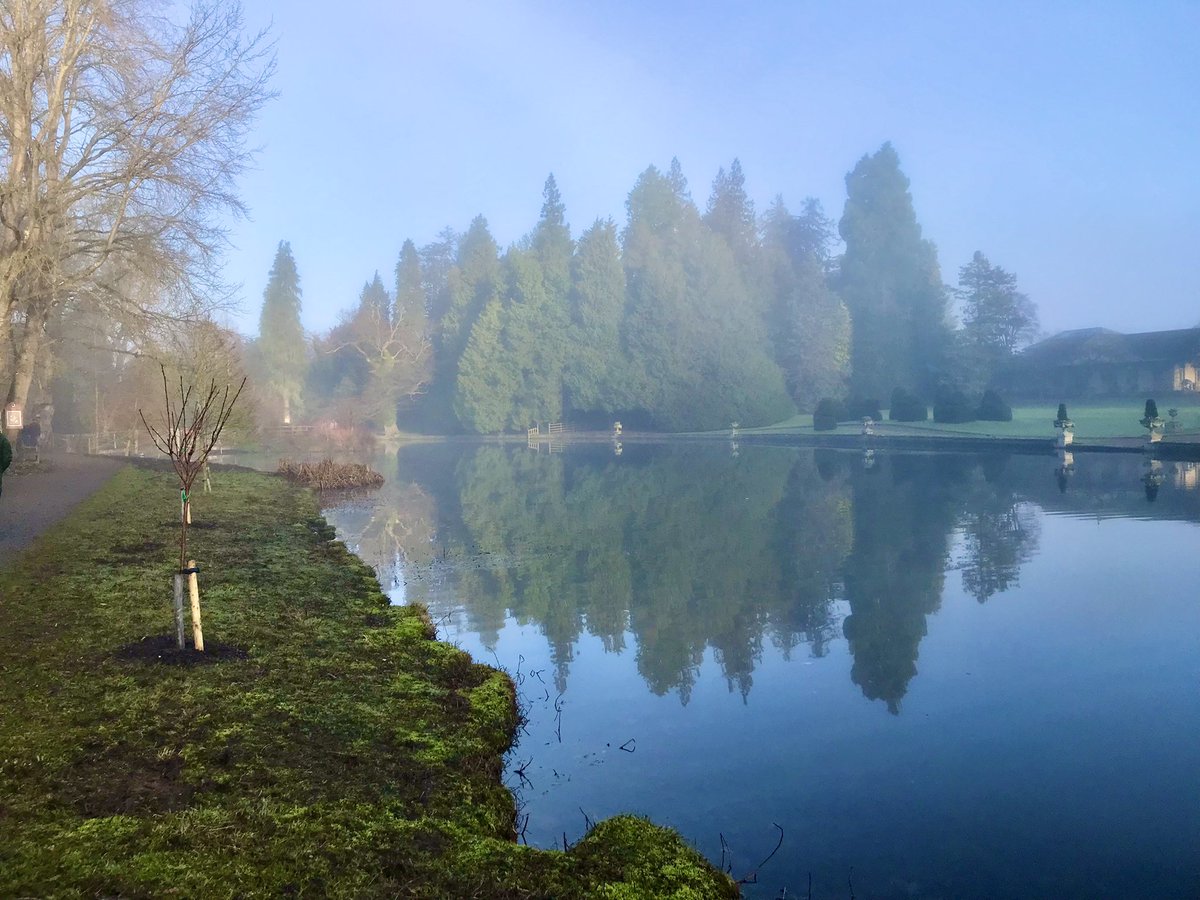 _WildfellHall's tweet photo. A beautiful #BoxingDay morning walk in misty sunshine at Thorp Perrow to banish any lingering Christmas Day lethargy.
#NorthYorkshire #Walkshire #LoveWhereYouLive https://t.co/40llhDePGz