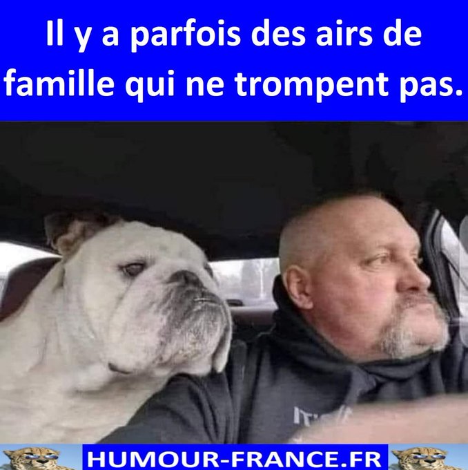 text alternatif