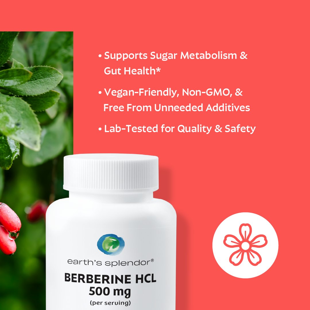 Earths_Splendor's tweet image. Ancient roots, modern wellness. Meet Berberine - crafted for those who prioritize quality and balance in every step of their journey. 

Try It Today: earthssplendor.com/berberine

#TimelessStrength