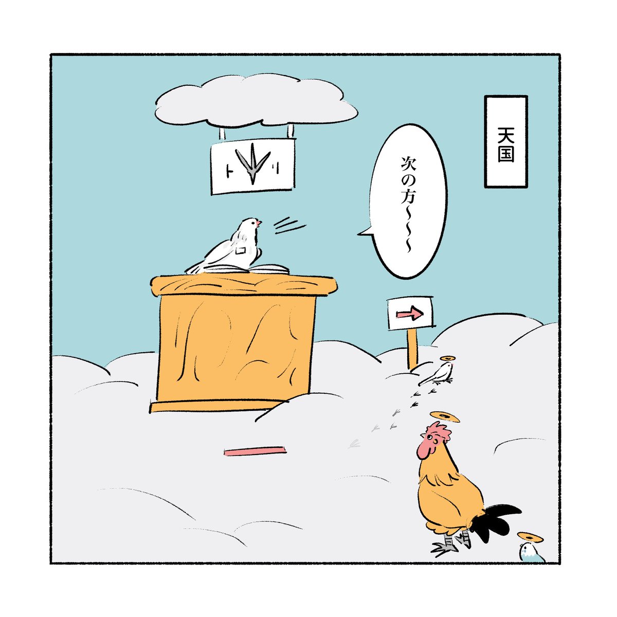 itakura_ayumi's tweet photo. ペットが天国で名前を聞かれて「可愛い」だと思ってるかもっていうのを前に見たけど、多分コッコは「そっち！？」ってなってるかもしれない。君の真の名は… https://t.co/EyDMZm1osF
