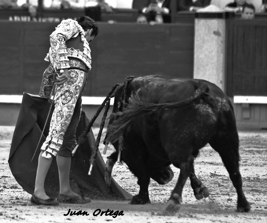 Esto es IE (Inteligencia Emocional) 
y no IA (inteligencia artificial) 
o sea "La Verdad en Estado Puro"...