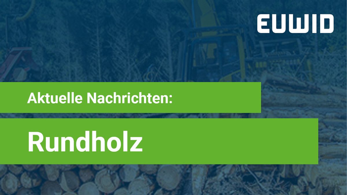 euwid's tweet image. 🌳 Aktuelle Entwicklungen in der Holzbranche – Rundholz 🌳
ow.ly/QSsO50TQKc1
#Rundholz #EUWID #B2B #AGDW #EUDR #Schnittholz #Umwelt #Marktentwicklung