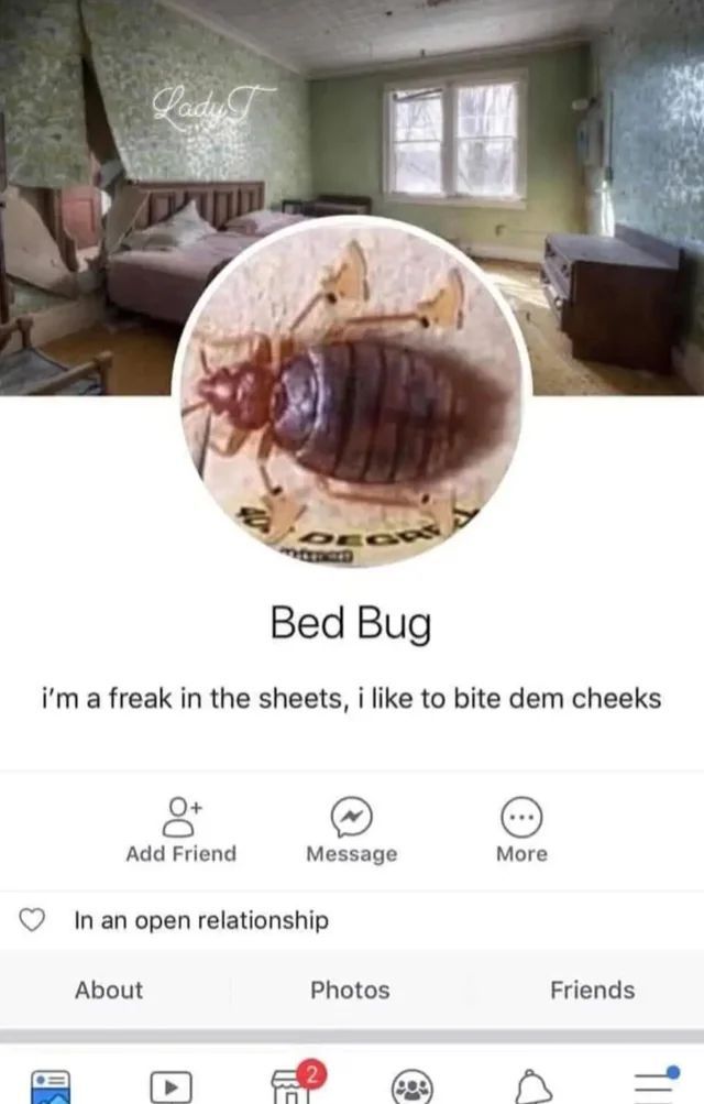 🕐HOURLY🕑 shitpost (@hourly_shitpost) on Twitter photo 