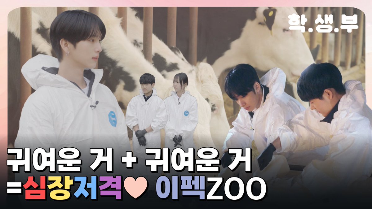 🏫 학.생.부 🏫

이펙스, 동물들과 최강 유니버스 탄생! 🐾✨  

[EP. 1-5] 
학생들을 부탁해! 학.생.부✏🧑‍🎓

농업고등학교에 이펙스가 떴다!
강아지부터 소까지!🐶🐮
동물 친구들과 웃음 폭발 하루!

📢구독 좋아요 + 알림 설정은 필수!

바로가기
> youtu.be/QXv0Lpv10VE?si…

#학생부 #EPEX #이펙스
