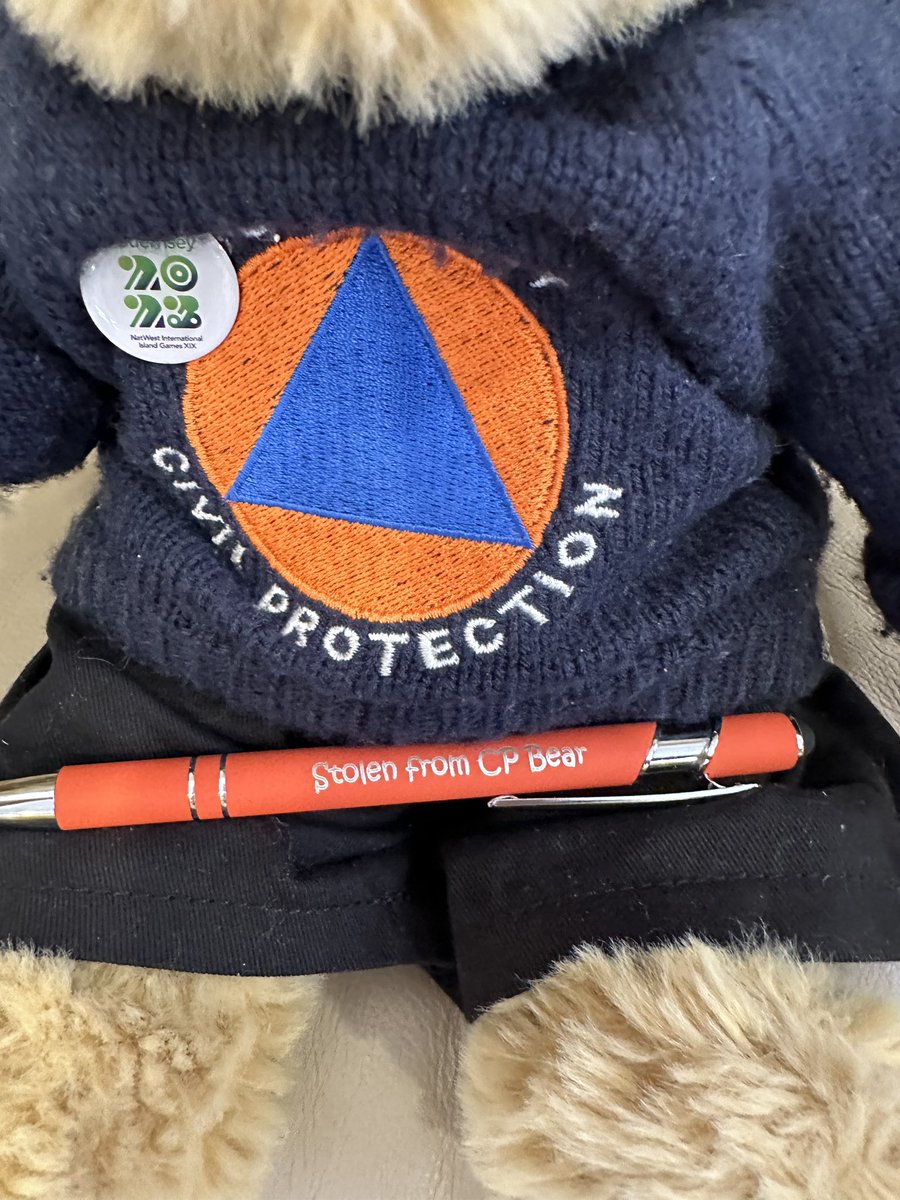 Look at my Christmas present!  Now the Boss can’t steal my pen anymore!!! I also had lots of chocolate and biscuits but some may have already been eaten. 🎄 🎁 🐻 🐾