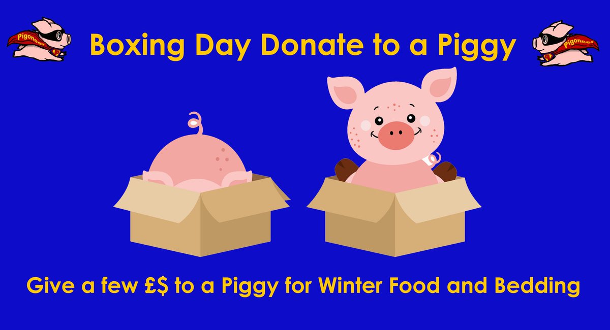 Gina Bates Ⓥ 𓃟 Pigoneer™. (@hilltopgina) on Twitter photo #BoxingDay #Pigoneers 🐷 As many of us have seen <a href="/BTWsanctuary/">Beneath The Wood Sanctuary Ⓥ 𓃟 Pigoneer</a> has been really struggling of late with storm damage.
The general funds have also been very low & winter is very difficult especially with food & bedding.
Can you spare a few £$'s today🐷
donorbox.org/beneath-the-wo… #BoxingDay #Pigoneers 🐷 As many of us have seen <a href="/BTWsanctuary/">Beneath The Wood Sanctuary Ⓥ 𓃟 Pigoneer</a> has been really struggling of late with storm damage.
The general funds have also been very low & winter is very difficult especially with food & bedding.
Can you spare a few £$'s today🐷
donorbox.org/beneath-the-wo…
