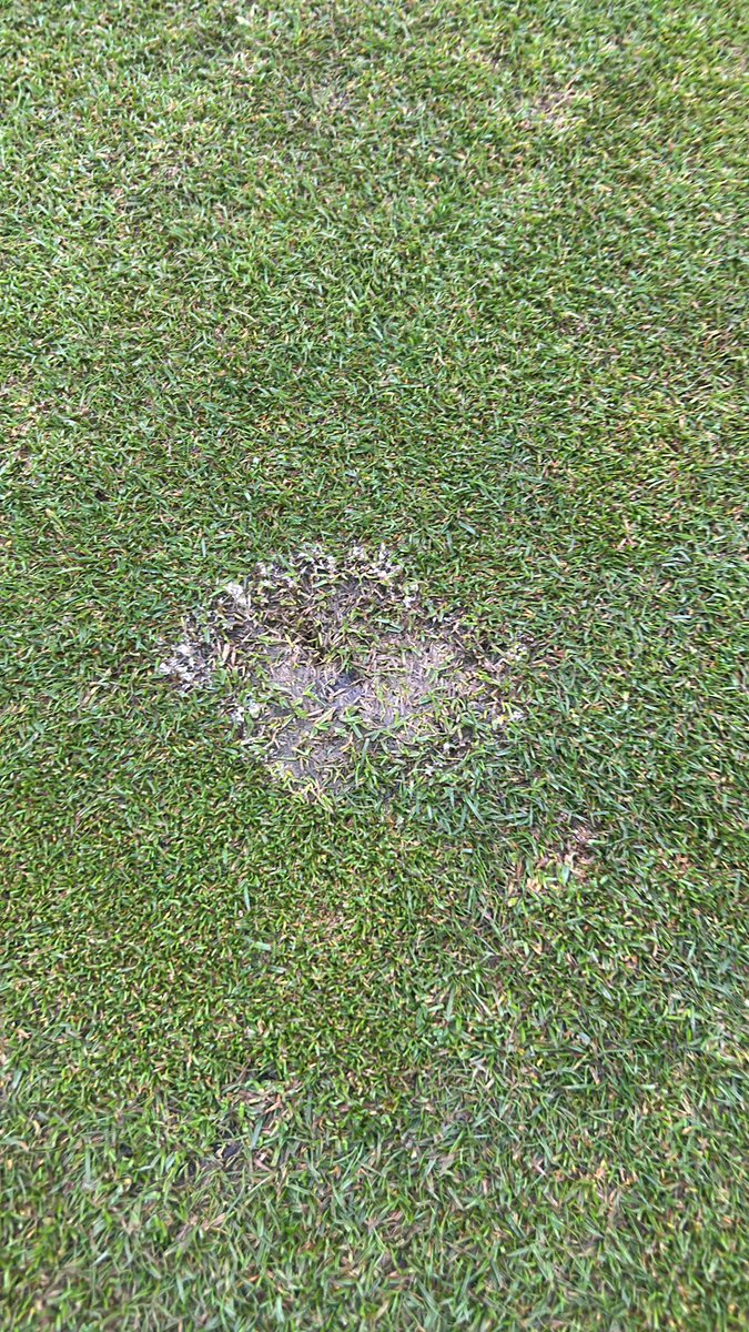 Matthew Reed 💙 tweet media