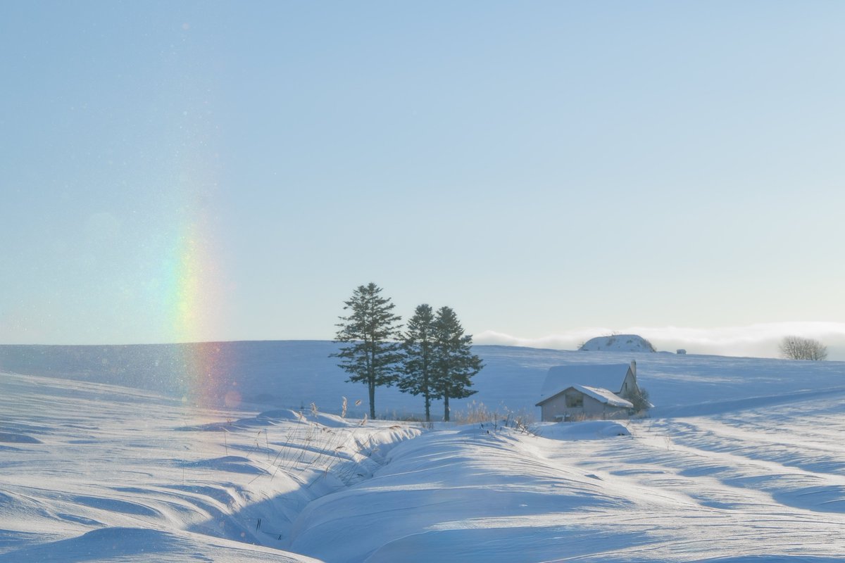 n__syk's tweet image. #2024年自分が選ぶ今年の4枚

今年は初めて写真展に参加して
トークショーもやらせていただくなど
沢山の経験ができた非常に濃い1年でした🔥

撮影頻度は少なかったから来年は
もっともっと撮影に行きたい📷

#東京カメラ部　#北海道