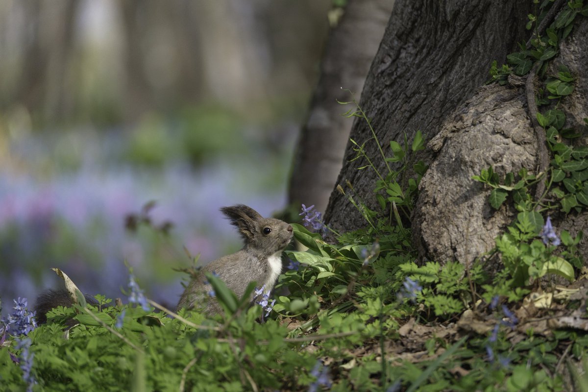 n__syk's tweet image. #2024年自分が選ぶ今年の4枚

今年は初めて写真展に参加して
トークショーもやらせていただくなど
沢山の経験ができた非常に濃い1年でした🔥

撮影頻度は少なかったから来年は
もっともっと撮影に行きたい📷

#東京カメラ部　#北海道