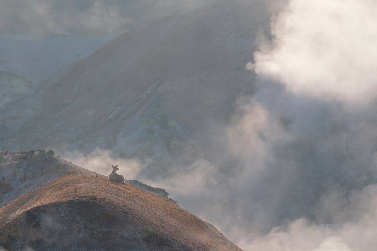 n__syk's tweet image. #2024年自分が選ぶ今年の4枚

今年は初めて写真展に参加して
トークショーもやらせていただくなど
沢山の経験ができた非常に濃い1年でした🔥

撮影頻度は少なかったから来年は
もっともっと撮影に行きたい📷

#東京カメラ部　#北海道