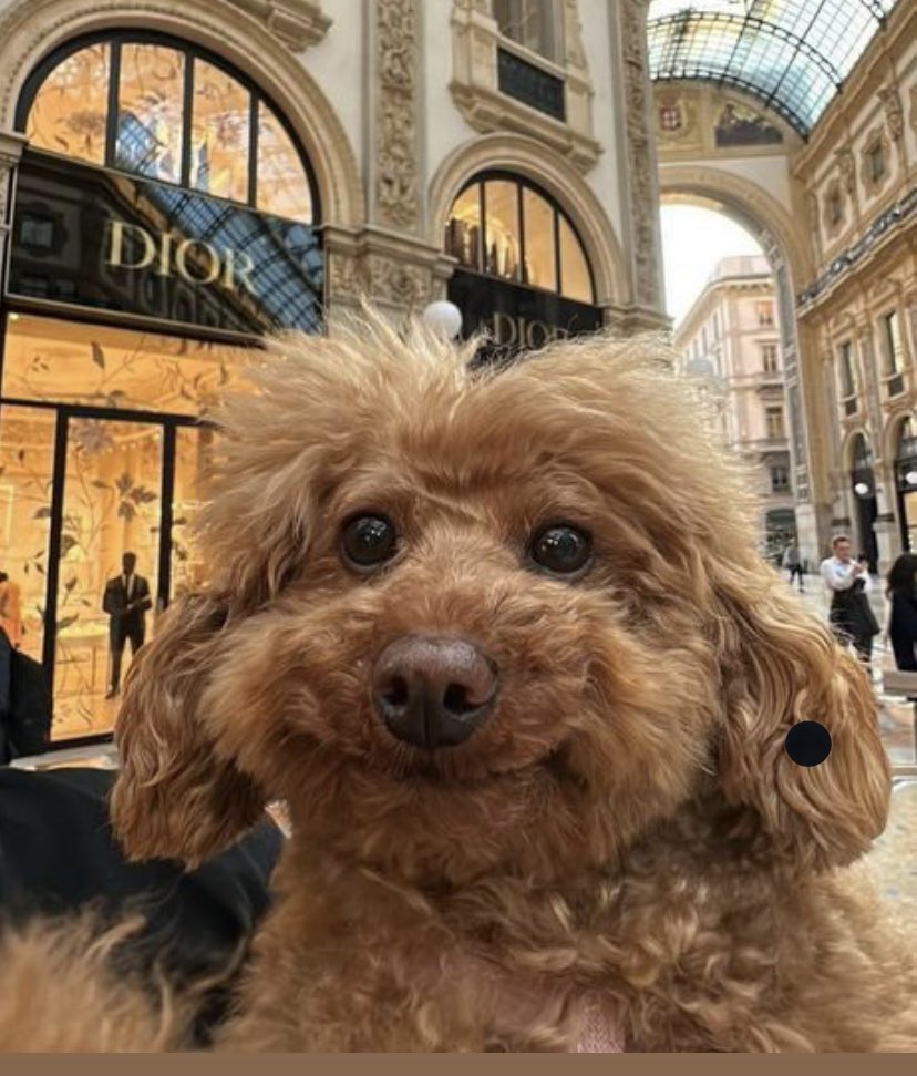 __7loben__'s tweet image. وقتی حین تقلب با مراقب چشم تو چشم میشم :