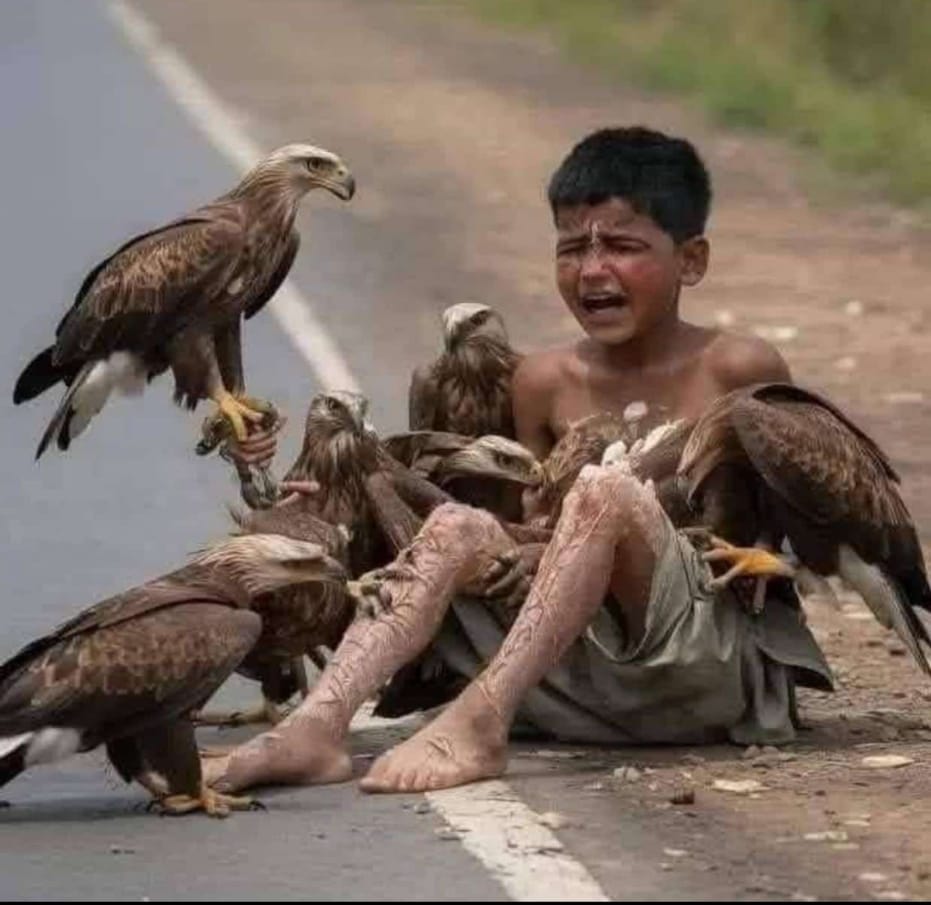 Rajni_Pathak98's tweet photo. हमें नोचकर मत खाओ, आराम से खाओ। हम मुर्दा #हिन्दू कौम हैं, कहीं भागे थोड़ी जा रहे। मुर्दा न होते तो #कश्मीर, #केरल, #पश्चिमबंगाल, #बांग्लादेश हर जगह मरने के बाद कभी तो जागते।
#हिंदू_राष्ट्र #hinduunity #Hindutva https://t.co/cwsroQ83nN