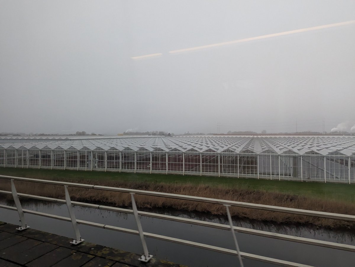 Tom Forth tweet media