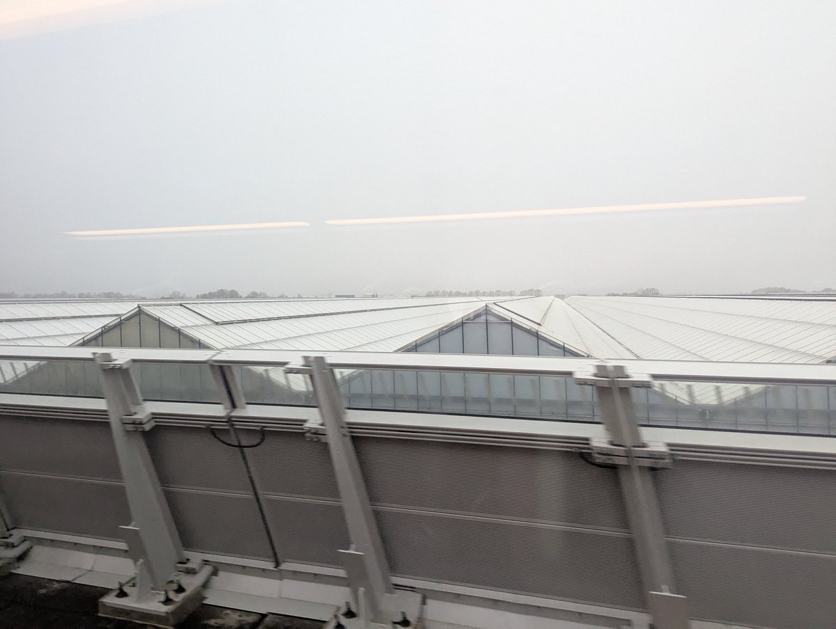 Tom Forth tweet media