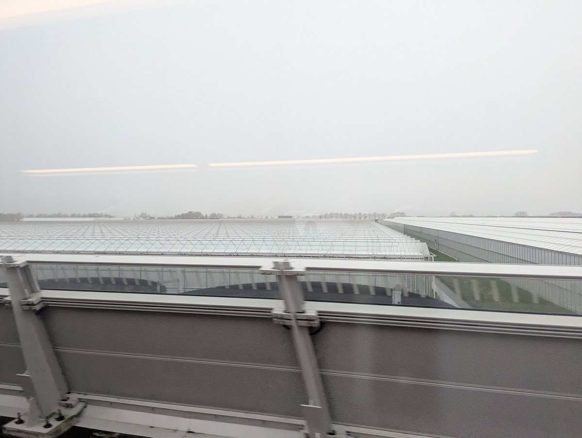 Tom Forth tweet media