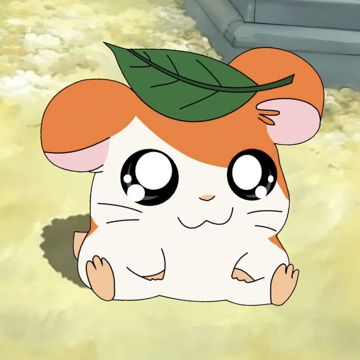 wshseung's tweet image. 🐹