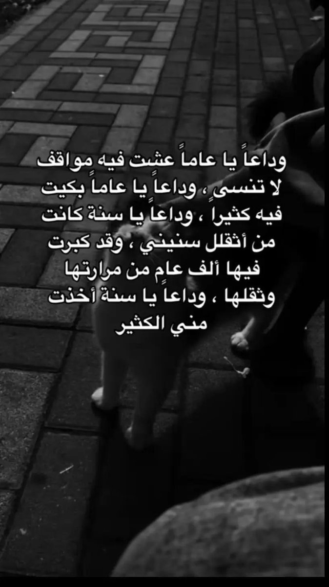 💔خيااااال 💔 tweet media