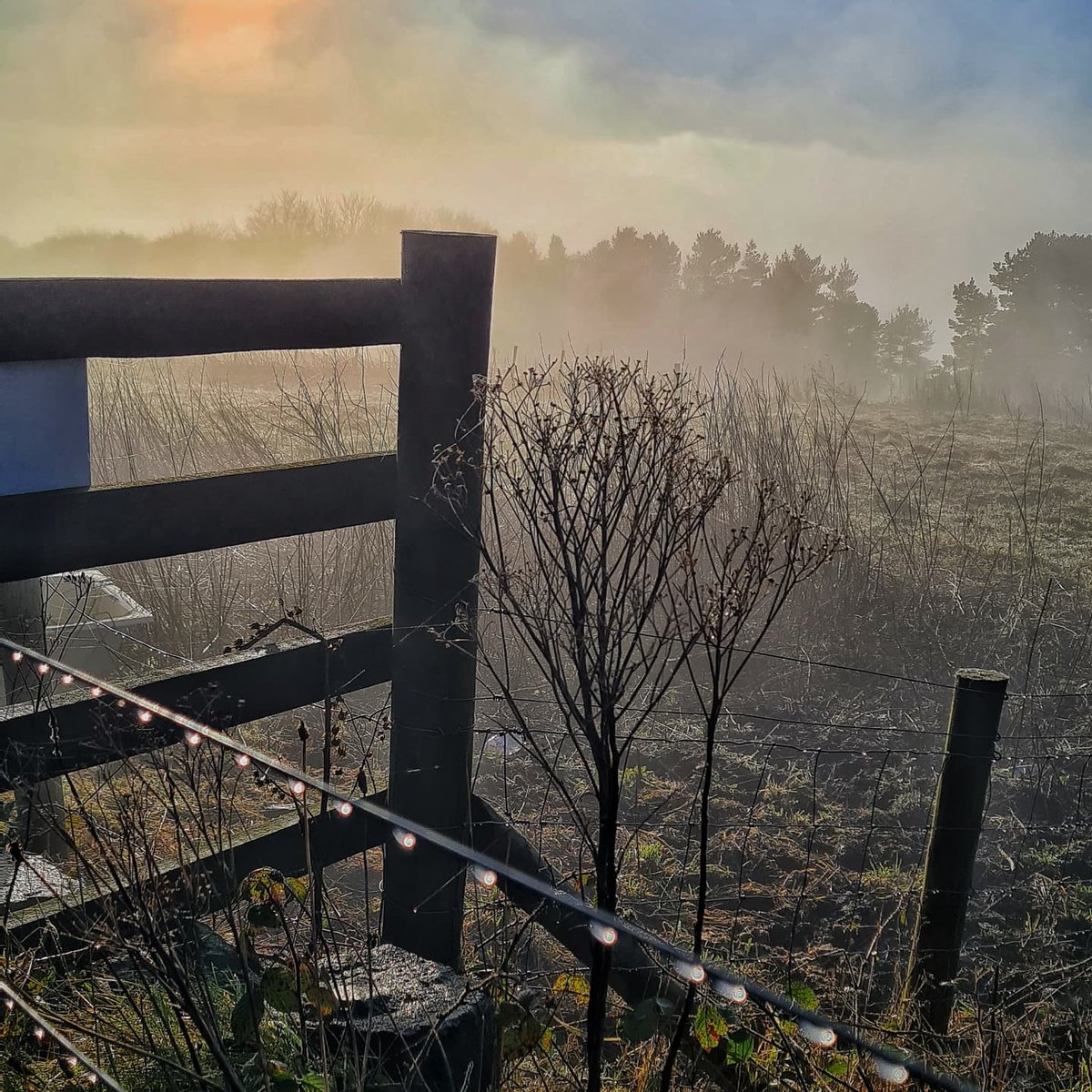 A foggy day ... in Bolton town
#foggyday #fog #sunshine #countrywalk #countryside #Lancashire #walkers #boxingday