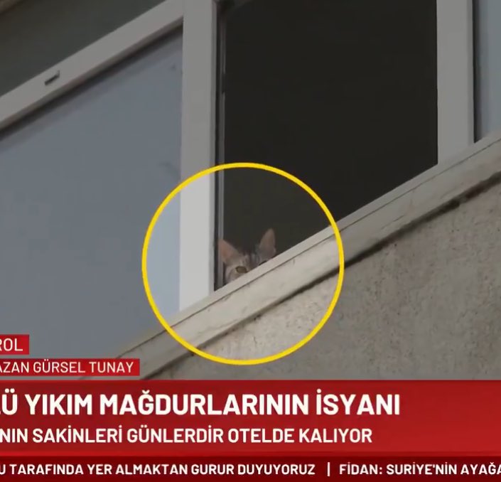 BINADA HAYVANLAR VAR. KONU ILE ILGILI ACIL COZUM TALEP EDIYORUZ <a href="/ekrem_imamoglu/">Ekrem İmamoğlu</a> <a href="/IBBcozummerkezi/">İBB Çözüm Merkezi</a> <a href="/Gungorenbld/">Güngören Belediyesi</a> <a href="/tcbelediyeler/">Belediyeler Çalışıyor 🏡</a>